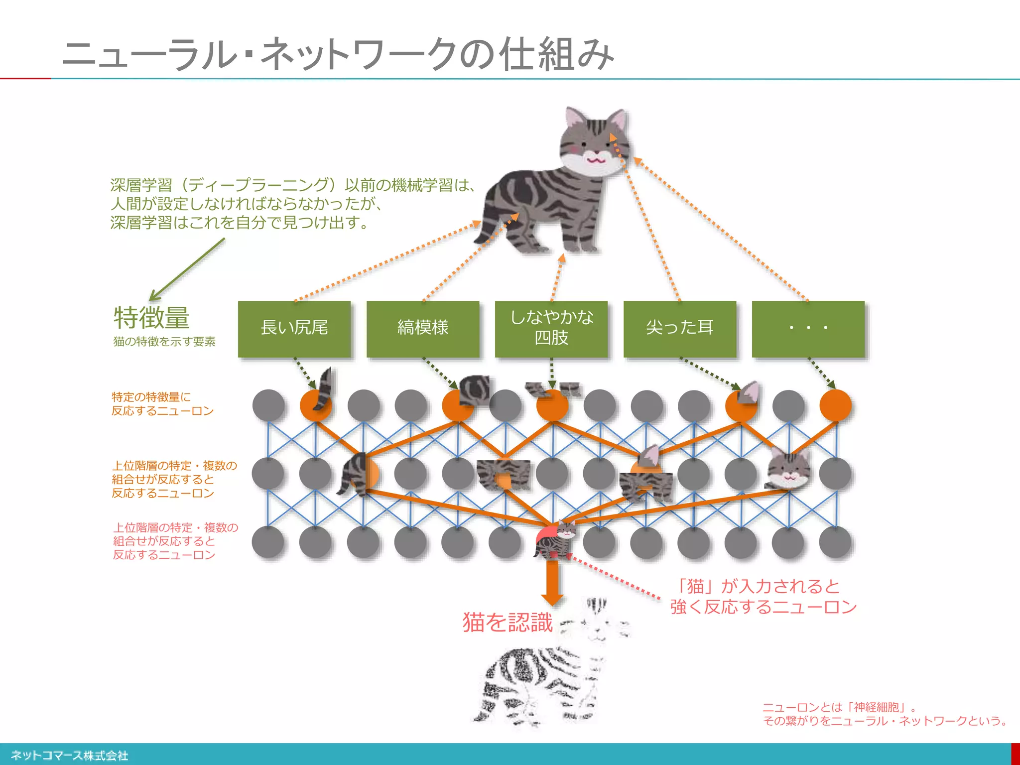 ニューラル・ネットワークの仕組み
長い尻尾 縞模様
しなやかな
四肢
尖った耳 ・・・
猫を認識
特徴量
猫の特徴を示す要素
特定の特徴量に
反応するニューロン
上位階層の特定・複数の
組合せが反応すると
反応するニューロン
上位階層の特定・複数の
組合せが反応すると
反応するニューロン
「猫」が入力されると
強く反応するニューロン
深層学習（ディープラーニング）以前の機械学習は、
人間が設定しなければならなかったが、
深層学習はこれを自分で見つけ出す。
ニューロンとは「神経細胞」。
その繋がりをニューラル・ネットワークという。
 