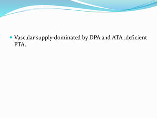 Vascular supply-dominated by DPA and ATA ;deficient
PTA.
 