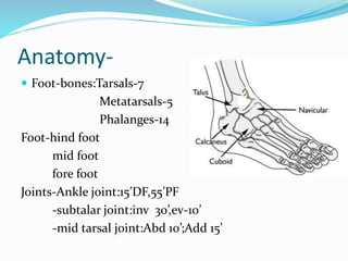 Anatomy-
 Foot-bones:Tarsals-7
Metatarsals-5
Phalanges-14
Foot-hind foot
mid foot
fore foot
Joints-Ankle joint:15’DF,55’PF
-subtalar joint:inv 30’,ev-10’
-mid tarsal joint:Abd 10’;Add 15’
 