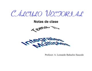 CÁLCULO VECTORIAL
Notas de clase
Profesor: A. Leonardo Bañuelos Saucedo
 