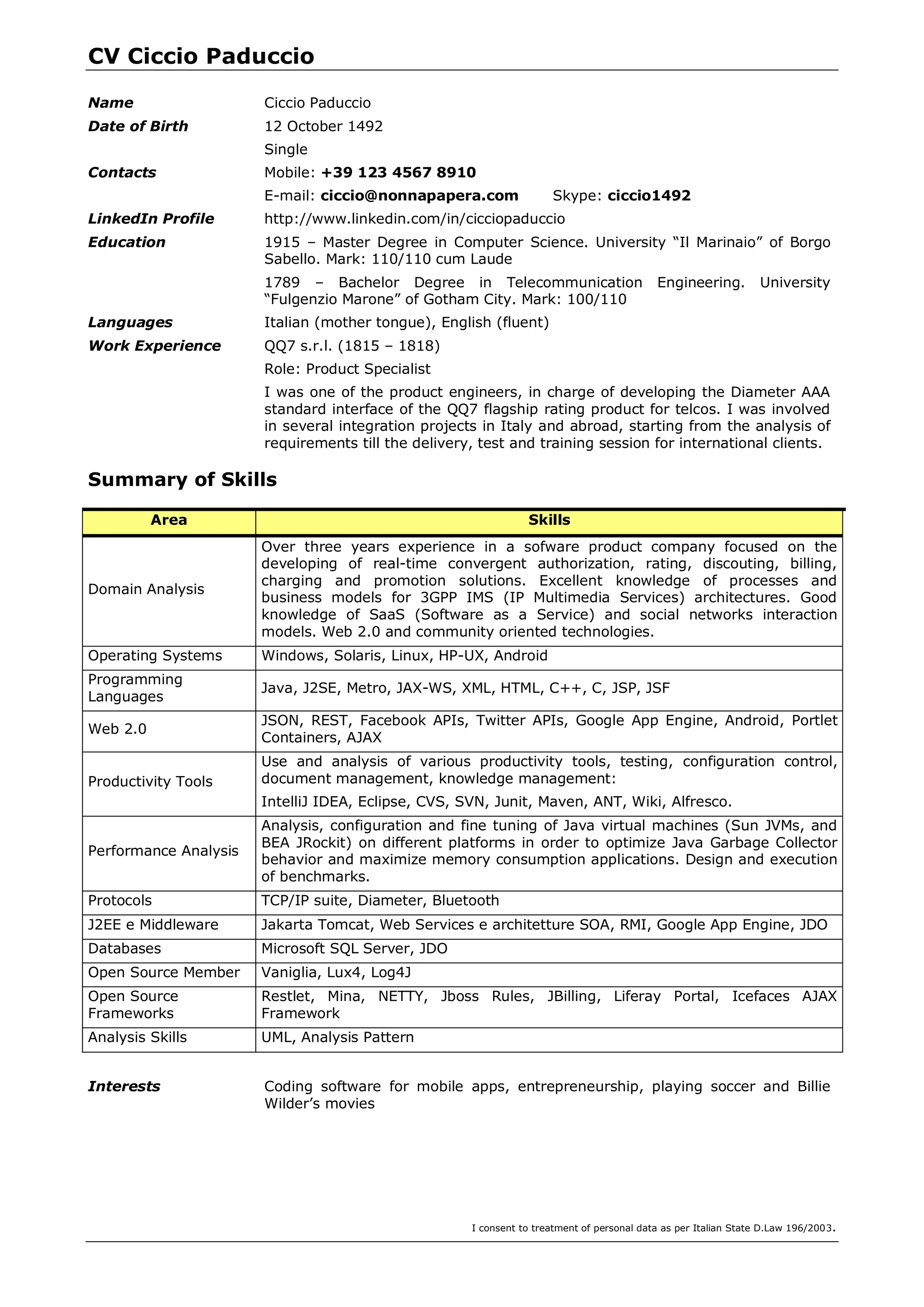 CV Template per Developer | PDF
