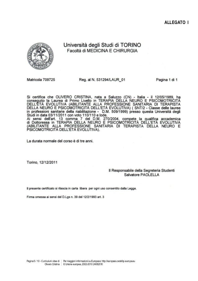 Curriculum vitae tnpee 03 picture