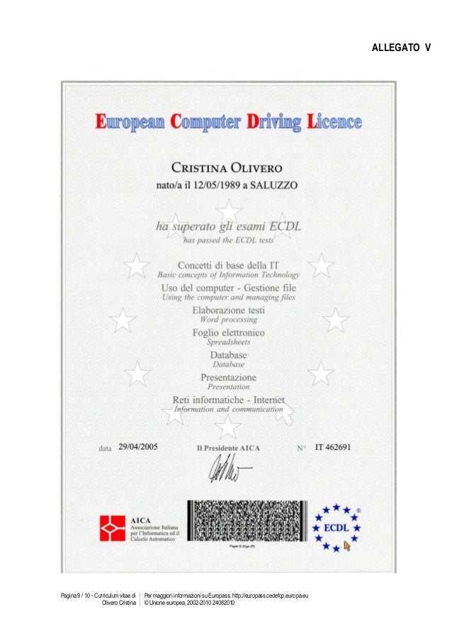 Curriculum vitae tnpee 04 image