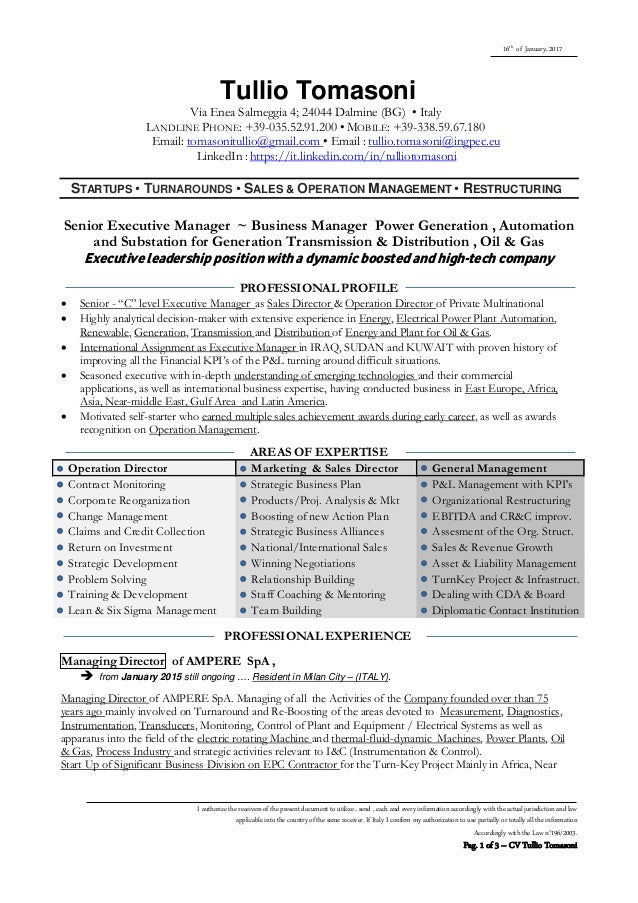 cv tullio tomasoni english extreme resume kpi s financial january 2017