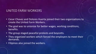 UNITED FARM WORKERS
• Cesar Chavez and Dolores Huerta joined their two organizations to
create the United Farm Workers.
• The goal was to unionize for better wages, working conditions,
benefits.
• The group staged peaceful protests and boycotts.
• They organized workers which forced the employers to meet their
demands.
• Filipinos also joined the workers.
 