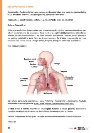 DESENVOLVENDO O TEMA:
A respiração é fundamental para vida humana sendo responsável pela troca dos gases oxigênio
(O2) e dióxido de carbono (CO2) do organismo, com o meio ambiente.
Você conhece as estruturas do sistema respiratório? Sabe como ele funciona?
Sistema Respiratório:
O Sistema respiratório é responsável pela nossa respiração e trocas gasosas necessárias para
o bom funcionamento do organismo. Para receber o oxigênio (O2) presente na atmosfera e
eliminar dióxido de carbono (CO2), os seres humanos precisam de todos os órgãos presentes
no sistema respiratório para fazer as trocas gasosas. Os órgãos responsáveis por este
processo são: fossas nasais, faringe, laringe, traqueia, brônquios e alvéolos  pulmonares.
Veja o esquema abaixo:
31
Caro aluno, cara aluna, assistam ao  vídeo “ Sistema  Respiratório ”, disponível no Youtube,
podendo ser acessado pelo link: https://www.youtube.com/watch?v=tBUh0Q1v5lU
O vídeo aborda o sistema respiratório, seus órgãos, funções  e  trocas gasosas, explicando a
captação do oxigênio atmosférico e  a disponibilização desse gás para as células.
Você irá compreender melhor quais são os seus conhecimentos sobre o assunto desta aula!
Vamos lá!
 