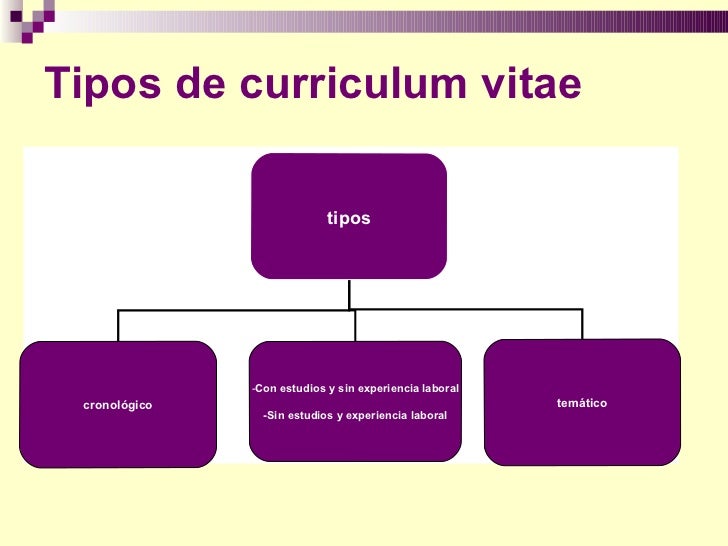 Tipos De Curriculum Vitae Tipos De Curriculum Vitae