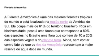 Floresta Amazônica
A Floresta Amazônica é uma das maiores florestas tropicais
do mundo e está localizada na região norte da América do
Sul. Ela ocupa mais de 61% do território brasileiro. Rica em
biodiversidade, possui uma fauna que corresponde a 80%
das espécies no Brasil e uma flora que contem de 10 a 20%
das espécies vegetais do planeta terra. Ainda, sem contar
com o fato de que os rios da Amazônia representam a maior
reserva de água doce no mundo.
 