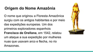Origem do Nome Amazônia
O nome que originou a Floresta Amazônica
surgiu com os antigos habitantes e por meio
das expedições europeias. Um dos
primeiros exploradores espanhois
Francisco de Orellana, em 1542, relatou
um ataque a sua expedição por mulheres
nuas que usavam arco e flecha, no rio
Amazonas.
 