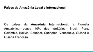 Países da Amazônia Legal e Internacional
Os países da Amazônia Internacional, a Floresta
Amazônica ocupa 40% dos territórios: Brasil, Peru,
Colômbia, Bolívia, Equador, Suriname, Venezuela, Guiana e
Guiana Francesa.
 