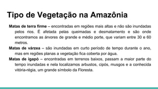 Tipo de Vegetação na Amazônia
Matas de terra firme – encontradas em regiões mais altas e não são inundadas
pelos rios. É afetada pelas queimadas e desmatamento e são onde
encontramos as árvores de grande e médio porte, que variam entre 30 e 60
metros.
Matas de várzea – são inundadas em curto período de tempo durante o ano,
mas em regiões planas a vegetação fica coberta por água.
Matas de igapó – encontradas em terrenos baixos, passam a maior parte do
tempo inundadas e nela localizamos arbustos, cipós, musgos e a conhecida
vitória-régia, um grande símbolo da Floresta.
 