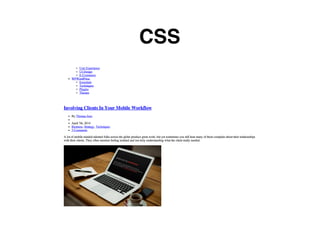 CSS
 