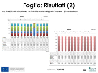 Co-funded by the Intelligent
Energy Europe Programme of
the European Union 34Introduzione – Manuale
Foglio: Risultati (2)
Alcuni risultati dal segmento “Biancheria intima e reggiseni” dell’EDST (file di esempio)
 