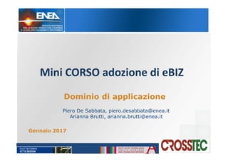Mini CORSO adozione di eBIZ
Gennaio 2017
Dominio di applicazione
Piero De Sabbata, piero.desabbata@enea.it
Arianna Brutti, arianna.brutti@enea.it
 