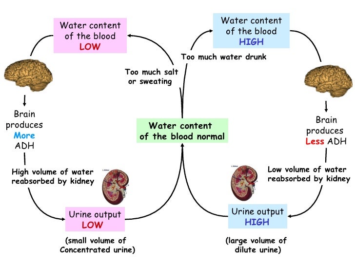 C Water And Waste c-water-and-waste