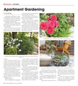 R20  | SceneNewspaper.com | August 2015
BY ROB ZIMMER
Gardening in small spaces, or apart-
ments and patios with no yard space at all,
is a challenge for many in our area. Often,
I am asked about options for gardening in
an apartment or small patio space.
Thankfully, there are a number of great
opportunities for gardening, indoors and
out, in apartments, as well as condos, on
patios and porches.
With a little creativity and an open
mind, you can create a lush, full garden
featuring all of your favorites just about
anywhere.
Plant marketers and growers have
focused in recent years on creating dwarf
varieties of most garden favorites, includ-
ing edibles and ornamentals. These dwarf
varieties are perfect for containers, hanging
baskets and tiny spaces that may be no
more than a few feet in diameter.
A great selection of these can be found
at just about any garden center locally.
Even trees are not off limits, as a variety
of dwarf trees have been developed for
small space gardening. This includes fruit-
ing trees as well as ornamentals, flowering
shrubs and conifers.
Edibles in containers
One of the biggest trends in gardening
over the past few growing seasons has been
producing edibles in containers.
For many edibles, at least some sun is
preferred, especially when growing fruits,
berries and some vegetables.
Plants such as tomatoes, peppers,
strawberries, eggplant and others prefer
substantial sun, at least 8 hours a day.
A number of other edible plants and
crops grow quite well in full to part shade.
Plants such as lettuces and other greens,
kale, many herbs, root crops such as carrots
and radishes, as well as others do perfectly
fine in a low sun situation.
Many edibles are now available in
dwarf or container-sized varieties. This is
true of blueberries, blackberries, currants,
strawberries, tomatoes, eggplant, as well as
many traditional herbs such as lavender,
basil and more.
This makes it possible for gardeners to
grow a large variety of crop plants right at
home even with no formal garden space.
Small space beauty
For ornamental purposes, growing
your own garden at home in a small space,
porch or patio has never been simpler.
Use a variety of vertical gardening tech-
niques, including climbers, hanging bas-
kets, containers and more to grow a large
number of plants in just a small space.
Create stunning containers by combin-
ing a variety of plants, textures, colors and
bloom times for long-lasting beauty and
interest.
To create spectacular containers for
porches, patios or hanging baskets, use a
variety of plants, depending on light con-
ditions.
A large number of perennials are now
available in dwarf form. This includes min-
iature hostas, miniature coral bells, dwarf
lilies, dwarf day lilies, and a number of
other perennials that feature short-statured
forms.
Chances are, whatever your favorite
flower, it is now available in a smaller,
compact form that would work perfectly in
a small space garden or container.
Apartment Gardening
OUTDOORS // ROB ZIMMER
Dwarf trees, like this miniature juniper, make gardening in containers more versatile and exciting
than ever.
Combine flowering plants and foliage for long-lasting porch and patio plantings.
Even with no yard space, you can create a beautiful green space on a porch, patio or balcony.
 