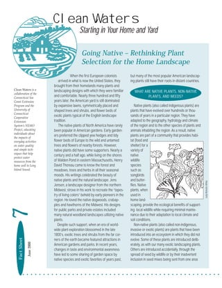 Clean Waters
                                                Starting in Your Home and Yard

                                                  Going Native – Rethinking Plant
                                                  Selection for the Home Landscape
                                           When the first European colonists         but many of the most popular American landscap-
                                 arrived in what is now the United States, they      ing plants still have their roots in distant countries.
                             brought from their homelands many plants and
Clean Waters is a            landscaping designs with which they were familiar          WHAT ARE NATIVE PLANTS, NON-NATIVE
collaboration of the
Connecticut Sea
                             and comfortable. Nearly three hundred and fifty                   PLANTS, AND WEEDS?
Grant Extension              years later, the American yard is still dominated
Program and the              by expansive lawns, symmetrically placed and                Native plants (also called indigenous plants) are
University of                shaped trees and shrubs, and flower beds of             plants that have evolved over hundreds or thou-
Connecticut
Cooperative
                             exotic plants typical of the English landscape          sands of years in a particular region. They have
Extension                    tradition.                                              adapted to the geography, hydrology and climate
SystemÕs NEMO                    The native plants of North America have rarely      of the region and to the other species of plants and
Project, educating           been popular in American gardens. Early garden-         animals inhabiting the region. As a result, native
individuals about
                             ers preferred the clipped yew hedges and tidy           plants are part of a community that provides habi-
the impacts of
everyday activities          flower beds of Europe to the wild and untamed           tat (food and
on water quality             trees and flowers of nearby forests. However,           shelter) for a
and simple tech-             native plants did have some supporters. Nearly a        variety of
niques that help
                             century and a half ago, while living on the shores      native
protect water
resources from the           of Walden Pond in eastern Massachusetts, Henry          wildlife
home well to Long            David Thoreau came to know the forest and               species
Island Sound.                meadows, trees and herbs in all their seasonal          such as
                             moods. His writings celebrated the beauty of            songbirds
                             native plants and the natural landscape. Jens           and butter-




                                                                                                                                               Judy Ricketts-White
                             Jensen, a landscape designer from the northern          flies. Native
                             Midwest, strove in his work to recreate the “tapes-     plants, when
                             try of living colors” beheld by early pioneers in the   used in
                             region. He loved the native dogwoods, crabap-           home land-
                             ples and hawthorns of the Midwest. His designs          scaping, provide the ecological benefits of support-
7




                             for public parks and private estates included           ing local wildlife while requiring minimal mainte-
                             many natural woodland landscapes utilizing native       nance due to their adaptation to local climate and
                             plants.                                                 soil conditions.
                                Despite such support, when an era of world-              Non-native plants (also called non-indigenous,
                             wide plant exploration blossomed in the late            invasive or exotic plants) are plants that have been
                             1800’s, exotic trees and shrubs from the far cor-       introduced into an ecosystem in which they did not
    Fact Sheet




                             ners of the earth became featured attractions in        evolve. Some of these plants are introduced delib-
                 June 2000




                             American gardens and parks. In recent years,            erately, as with our many exotic landscaping plants.
                             changes in taste and environmental awareness            Others are introduced accidentally, through the
                             have led to some sharing of garden space by             spread of seed by wildlife or by their inadvertent
                             native species and exotic favorites of years past,      inclusion in seed mixes being sent from one area


            ¥ ¥ ¥ ¥ ¥ ¥ ¥ ¥ ¥ ¥ ¥ ¥ ¥ ¥ ¥ ¥ ¥ ¥ ¥ ¥ ¥ ¥ ¥ ¥ ¥ ¥ ¥ ¥ ¥ ¥ ¥ ¥ ¥ ¥ ¥ ¥ ¥ ¥ ¥ ¥ ¥ ¥ ¥ ¥ ¥ ¥ ¥ ¥
 