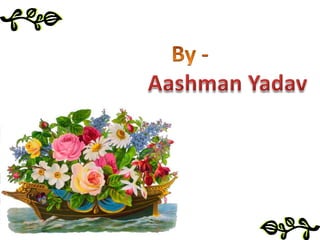 A text messaging capability so that people can send messages of congratulations and encouragement to the Baton bearers throughout relaySportsSwimmingDivingArcheryAthleticsBadmintonBoxingArtistic gymnastics Rhythmic gymnasticsHockeyBowlingRoadRugby sevens ShootingSquashTable tennis TennisWeightliftingNetballWrestling