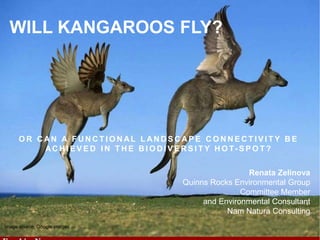 O R C AN A F U N C T I O N AL L AN D S C A P E C O N N E C T I V I T Y B E
AC H I E V E D I N T H E B I O D I V E R S I T Y H O T- S P O T ?
WILL KANGAROOS FLY?
Renata Zelinova
Quinns Rocks Environmental Group
Committee Member
and Environmental Consultant
Nam Natura Consulting
Image source: Google images
 