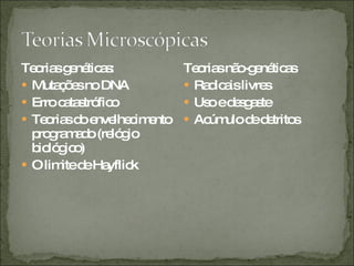 Teorias genéticas: Mutações no DNA Erro catastrófico Teorias do envelhecimento programado (relógio biológico) O limite de Hayflick Teorias não-genéticas Radicais livres Uso e desgaste Acúmulo de detritos 