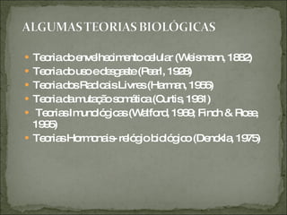 Teoria do envelhecimento celular (Weismann, 1882) Teoria do uso e desgaste (Pearl, 1928) Teoria dos Radicais Livres (Harman, 1956) Teoria da mutação somática (Curtis, 1961) Teorias Imunológicas (Walford, 1969; Finch & Rose, 1995) Teorias Hormonais- relógio biológico (Denckla, 1975) 