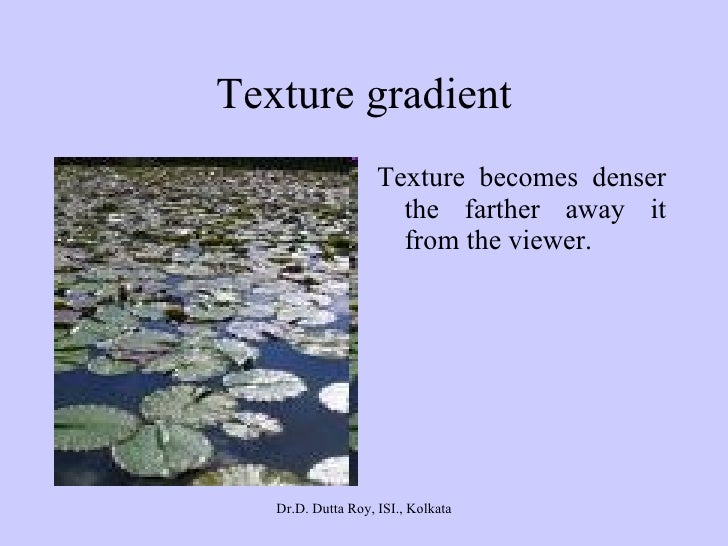 Introduction to Sensation, Perception and Attention