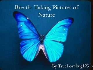 Breath- Taking Pictures of
Nature
By TrueLovebug123
 