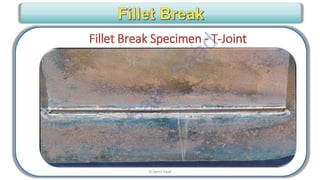CWI & ASNT Visual Testing (VT) Level II Notes-Dr. Samir Saad