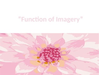 “Function of Imagery”
 
