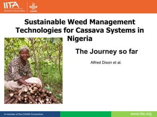 www.iita.orgA member of the CGIAR Consortium
Sustainable Weed Management
Technologies for Cassava Systems in
Nigeria
The Journey so far
Alfred Dixon et al.
 