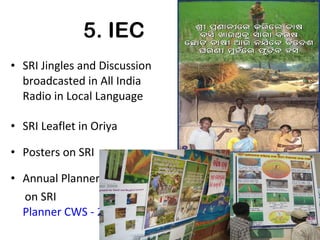 5. IEC SRI Jingles and Discussion broadcasted in All India Radio in Local Language SRI Leaflet in Oriya Posters on SRI Annual Planner  on SRI Planner CWS - 2011.pdf 