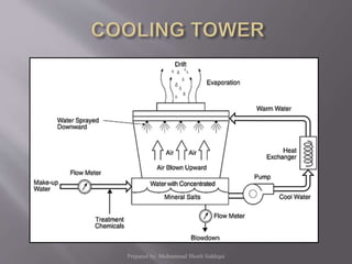 Prepared by: Mohammad Shoeb Siddiqui
 