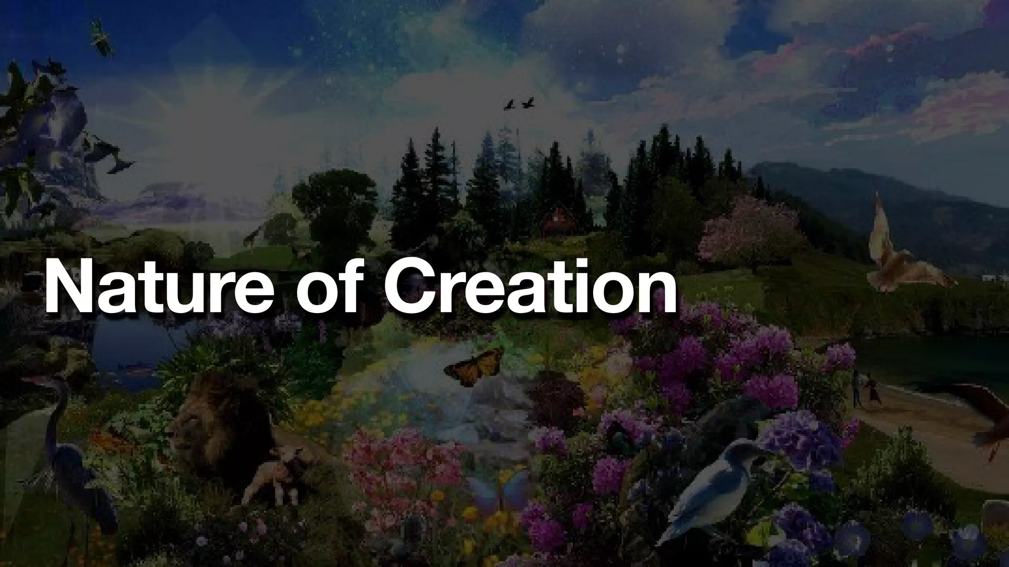 Nature of Creation
 