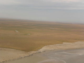 Ideas developed can lead to writing  Brainstorming StrategiesReading novels