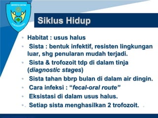 Company LOGO
• Habitat : usus halus
• Sista : bentuk infektif, resisten lingkungan
luar, shg penularan mudah terjadi.
• Sista & trofozoit tdp di dalam tinja
(diagnostic stages)
• Sista tahan bbrp bulan di dalam air dingin.
• Cara infeksi : “fecal-oral route”
• Eksistasi di dalam usus halus.
• Setiap sista menghasilkan 2 trofozoit.
 