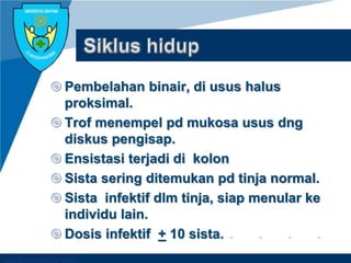 Company LOGO
 Pembelahan binair, di usus halus
proksimal.
 Trof menempel pd mukosa usus dng
diskus pengisap.
 Ensistasi terjadi di kolon
 Sista sering ditemukan pd tinja normal.
 Sista infektif dlm tinja, siap menular ke
individu lain.
 Dosis infektif + 10 sista.
 