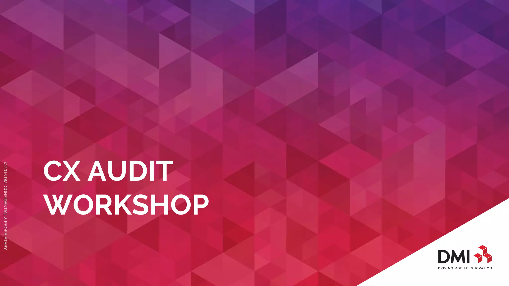 © 2016DMICONFIDENTIAL&PROPRIETARY
CX AUDIT
WORKSHOP
 