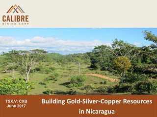 TSX.V: CXB
June 2017
Building Gold-Silver-Copper Resources
in Nicaragua
 