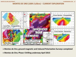 MONTES DE ORO (100% Calibre) – CURRENT EXPLORATION
MONTES DE ORO GOLD PROJECT CALIBREMINING.COM 19
» Montes de Oro; ground magnetic and Induced Polarization Surveys completed
» Montes de Oro; Phase I Drilling underway April 2015
 