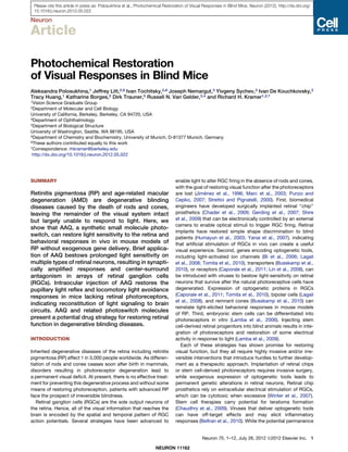 Please cite this article in press as: Polosukhina et al., Photochemical Restoration of Visual Responses in Blind Mice, Neuron (2012), http://dx.doi.org/
 10.1016/j.neuron.2012.05.022

Neuron

Article

Photochemical Restoration
of Visual Responses in Blind Mice
Aleksandra Polosukhina,1 Jeffrey Litt,2,6 Ivan Tochitsky,2,6 Joseph Nemargut,3 Yivgeny Sychev,3 Ivan De Kouchkovsky,2
Tracy Huang,1 Katharine Borges,2 Dirk Trauner,5 Russell N. Van Gelder,3,4 and Richard H. Kramer1,2,*
1Vision  Science Graduate Group
2Department    of Molecular and Cell Biology
University of California, Berkeley, Berkeley, CA 94720, USA
3Department of Ophthalmology
4Department of Biological Structure

University of Washington, Seattle, WA 98195, USA
5Department of Chemistry and Biochemistry, University of Munich, D-81377 Munich, Germany
6These authors contributed equally to this work

*Correspondence: rhkramer@berkeley.edu
 http://dx.doi.org/10.1016/j.neuron.2012.05.022




SUMMARY                                                                       enable light to alter RGC ﬁring in the absence of rods and cones,
                                                                              with the goal of restoring visual function after the photoreceptors
Retinitis pigmentosa (RP) and age-related macular                                            ´
                                                                              are lost (Jimenez et al., 1996; Marc et al., 2003; Punzo and
degeneration (AMD) are degenerative blinding                                  Cepko, 2007; Strettoi and Pignatelli, 2000). First, biomedical
diseases caused by the death of rods and cones,                               engineers have developed surgically implanted retinal ‘‘chip’’
leaving the remainder of the visual system intact                             prosthetics (Chader et al., 2009; Gerding et al., 2007; Shire
but largely unable to respond to light. Here, we                              et al., 2009) that can be electronically controlled by an external
                                                                              camera to enable optical stimuli to trigger RGC ﬁring. Retinal
show that AAQ, a synthetic small molecule photo-
                                                                              implants have restored simple shape discrimination to blind
switch, can restore light sensitivity to the retina and
                                                                              patients (Humayun et al., 2003; Yanai et al., 2007), indicating
behavioral responses in vivo in mouse models of                               that artiﬁcial stimulation of RGCs in vivo can create a useful
RP without exogenous gene delivery. Brief applica-                            visual experience. Second, genes encoding optogenetic tools,
tion of AAQ bestows prolonged light sensitivity on                            including light-activated ion channels (Bi et al., 2006; Lagali
multiple types of retinal neurons, resulting in synapti-                      et al., 2008; Tomita et al., 2010), transporters (Busskamp et al.,
cally ampliﬁed responses and center-surround                                  2010), or receptors (Caporale et al., 2011; Lin et al., 2008), can
antagonism in arrays of retinal ganglion cells                                be introduced with viruses to bestow light-sensitivity on retinal
(RGCs). Intraocular injection of AAQ restores the                             neurons that survive after the natural photoreceptive cells have
pupillary light reﬂex and locomotory light avoidance                          degenerated. Expression of optogenetic proteins in RGCs
responses in mice lacking retinal photoreceptors,                             (Caporale et al., 2011; Tomita et al., 2010), bipolar cells (Lagali
                                                                              et al., 2008), and remnant cones (Busskamp et al., 2010) can
indicating reconstitution of light signaling to brain
                                                                              reinstate light-elicited behavioral responses in mouse models
circuits. AAQ and related photoswitch molecules
                                                                              of RP. Third, embryonic stem cells can be differentiated into
present a potential drug strategy for restoring retinal                       photoreceptors in vitro (Lamba et al., 2006). Injecting stem
function in degenerative blinding diseases.                                   cell-derived retinal progenitors into blind animals results in inte-
                                                                              gration of photoreceptors and restoration of some electrical
INTRODUCTION                                                                  activity in response to light (Lamba et al., 2009).
                                                                                 Each of these strategies has shown promise for restoring
Inherited degenerative diseases of the retina including retinitis             visual function, but they all require highly invasive and/or irre-
pigmentosa (RP) affect 1 in 3,000 people worldwide. As differen-              versible interventions that introduce hurdles to further develop-
tiation of rods and cones ceases soon after birth in mammals,                 ment as a therapeutic approach. Implantation of retinal chips
disorders resulting in photoreceptor degeneration lead to                     or stem cell-derived photoreceptors requires invasive surgery,
a permanent visual deﬁcit. At present, there is no effective treat-           while exogenous expression of optogenetic tools leads to
ment for preventing this degenerative process and without some                permanent genetic alterations in retinal neurons. Retinal chip
means of restoring photoreception, patients with advanced RP                  prosthetics rely on extracellular electrical stimulation of RGCs,
face the prospect of irreversible blindness.                                  which can be cytotoxic when excessive (Winter et al., 2007).
   Retinal ganglion cells (RGCs) are the sole output neurons of               Stem cell therapies carry potential for teratoma formation
the retina. Hence, all of the visual information that reaches the             (Chaudhry et al., 2009). Viruses that deliver optogenetic tools
brain is encoded by the spatial and temporal pattern of RGC                   can have off-target effects and may elicit inﬂammatory
action potentials. Several strategies have been advanced to                   responses (Beltran et al., 2010). While the potential permanence


                                                                                             Neuron 75, 1–12, July 26, 2012 ª2012 Elsevier Inc. 1

                                                                   NEURON 11162
 