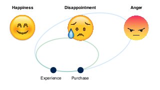 Purchase
Happiness Disappointment Anger
Experience
 