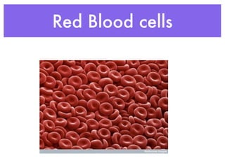 Red Blood cells
 