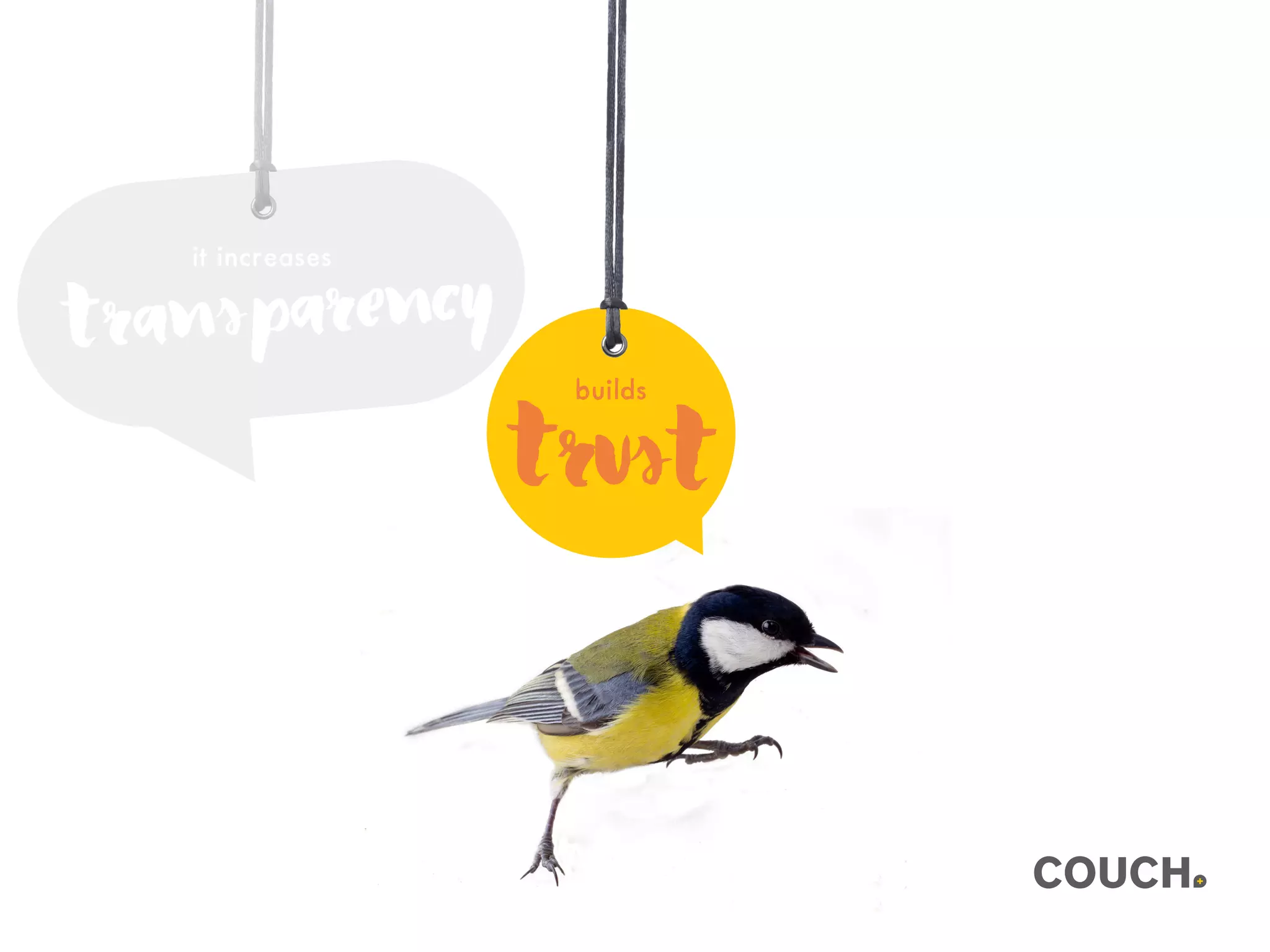 trust
builds
transparency
it increases
 