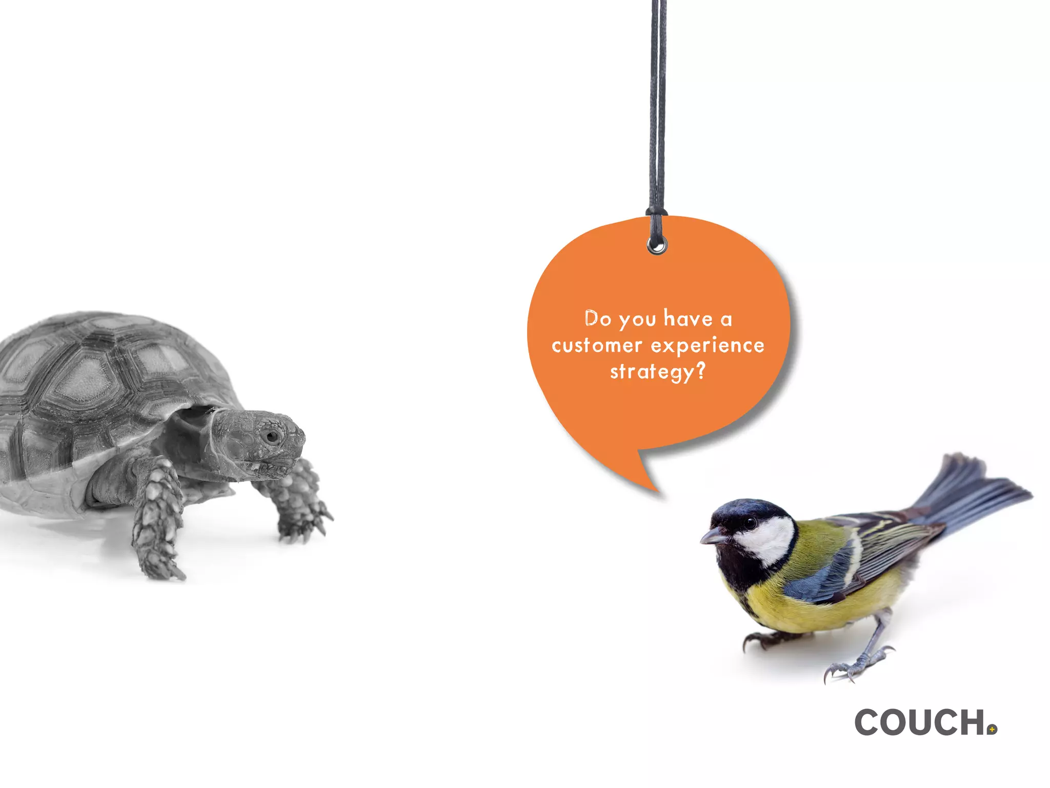 Do you have a
customer experience
strategy?
 