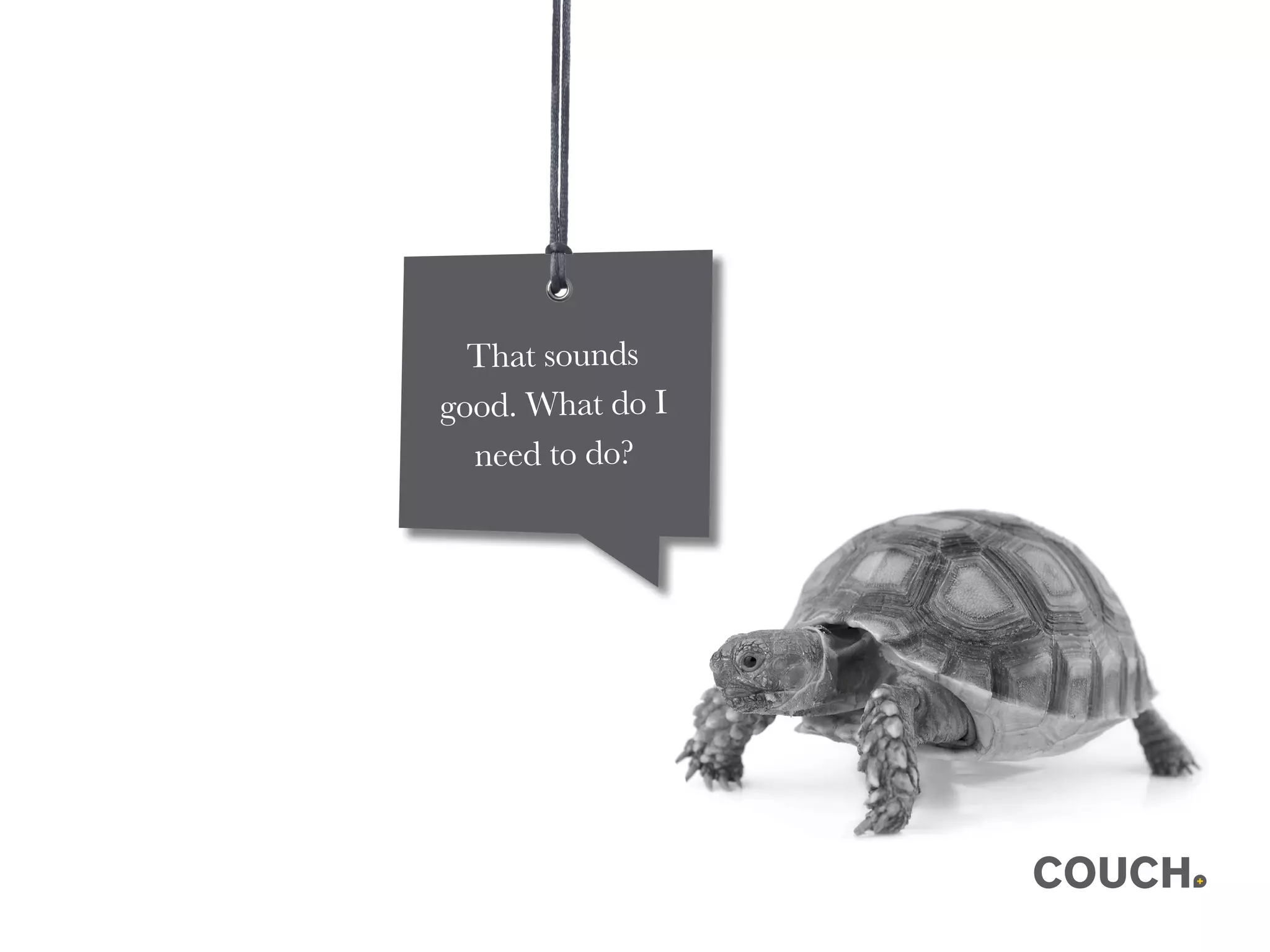 That sounds
good. What do I
need to do?
 