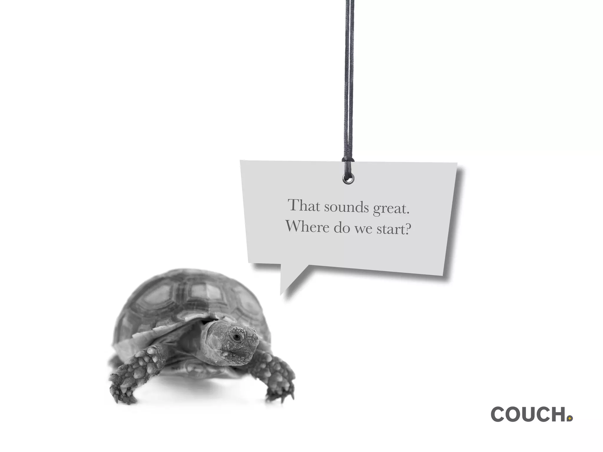 That sounds great.
Where do we start?
 