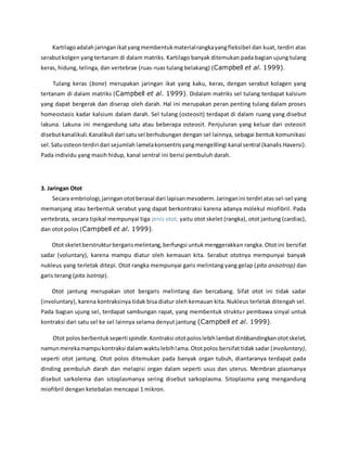 Kartilago adalah jaringan ikat yang membentuk material rangka yang fleksibel dan kuat, terdiri atas 
serabut kolgen yang tertanam di dalam matriks. Kartilago banyak ditemukan pada bagian ujung tulang 
keras, hidung, telinga, dan vertebrae (ruas-ruas tulang belakang) (Campbell et al. 1999). 
Tulang keras (bone) merupakan jaringan ikat yang kaku, keras, dengan serabut kolagen yang 
tertanam di dalam matriks (Campbell et al. 1999). Didalam matriks sel tulang terdapat kalsium 
yang dapat bergerak dan diserap oleh darah. Hal ini merupakan peran penting tulang dalam proses 
homeostasis kadar kalsium dalam darah. Sel tulang (osteosit) terdapat di dalam ruang yang disebut 
lakuna. Lakuna ini mengandung satu atau beberapa osteosit. Penjuluran yang keluar dari osteosit 
disebut kanalikuli. Kanalikuli dari satu sel berhubungan dengan sel lainnya, sebagai bentuk komunikasi 
sel. Satu osteon terdiri dari sejumlah lamela konsentris yang mengelilingi kanal sentral (kanalis Haversi). 
Pada individu yang masih hidup, kanal sentral ini berisi pembuluh darah. 
3. Jaringan Otot 
Secara embriologi, jaringan otot berasal dari lapisan mesoderm. Jaringan ini terdiri atas sel-sel yang 
memanjang atau berbentuk serabut yang dapat berkontraksi karena adanya molekul miofibril. Pada 
vertebrata, secara tipikal mempunyai tiga jenis otot, yaitu otot skelet (rangka), otot jantung (cardiac), 
dan otot polos (Campbell et al. 1999). 
Otot skelet berstruktur bergaris melintang, berfungsi untuk menggerakkan rangka. Otot ini bersifat 
sadar (voluntary), karena mampu diatur oleh kemauan kita. Serabut ototnya mempunyai banyak 
nukleus yang terletak ditepi. Otot rangka mempunyai garis melintang yang gelap (pita anisotrop) dan 
garis terang (pita isotrop). 
Otot jantung merupakan otot bergaris melintang dan bercabang. Sifat otot ini tidak sadar 
(involuntary), karena kontraksinya tidak bisa diatur oleh kemauan kita. Nukleus terletak ditengah sel. 
Pada bagian ujung sel, terdapat sambungan rapat, yang membentuk struktur pembawa sinyal untuk 
kontraksi dari satu sel ke sel lainnya selama denyut jantung (Campbell et al. 1999). 
Otot polos berbentuk seperti spindle. Kontraksi otot polos lebih lambat dinbbandingkan otot skelet, 
namun mereka mampu kontraksi dalam waktu lebih lama. Otot polos bersifat tidak sadar (involuntary), 
seperti otot jantung. Otot polos ditemukan pada banyak organ tubuh, diantaranya terdapat pada 
dinding pembuluh darah dan melapisi organ dalam seperti usus dan uterus. Membran plasmanya 
disebut sarkolema dan sitoplasmanya sering disebut sarkoplasma. Sitoplasma yang mengandung 
miofibril dengan ketebalan mencapai 1 mikron. 
 