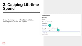 3: Capping Lifetime
Spend
If your Campaign has a defined budget that you
cannot go over, you set this cap here.
 