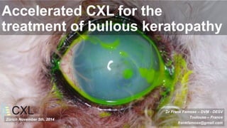 Accelerated CXL for the 
treatment of bullous keratopathy 
Dr Frank Famose – DVM - DESV 
Toulouse – France 
frankfamose@gmail.com 
Zürich November 5th, 2014 
 