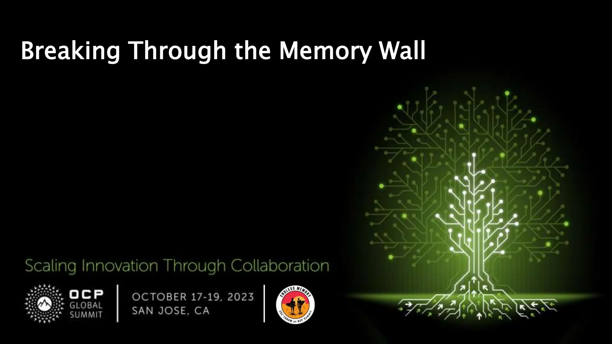 Breaking Through the Memory Wall
 